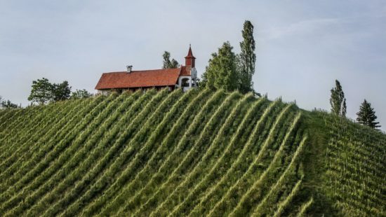 Ortsweingebiete der Südsteiermark