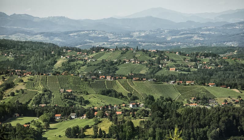 From April 18th to 20th, 2024, the international Sauvignon Blanc competition “Concours Mondial du Sauvignon” will take place in Styria.