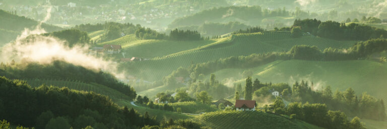 Das Klima in der Wein-Region Steiermark