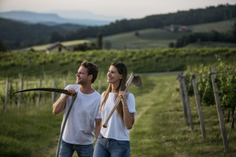 Winegrowers - Wein Steiermark