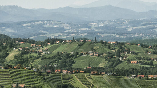 Mikroklimata sind essentiell für die Weinregion Steiermark