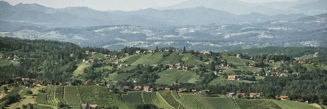 Mikroklimata sind essentiell für die Weinregion Steiermark