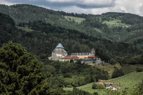 Ortswein Deutschlandsberg im DAC Anbaugebiet Weststeiermark - Wein Steiermark