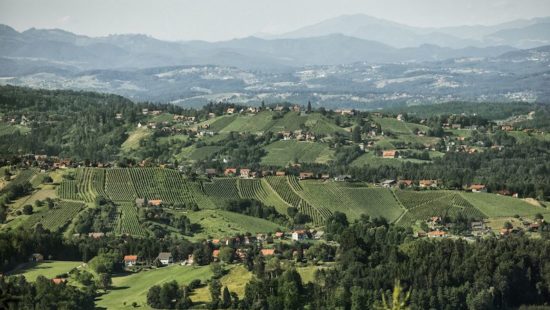 Riedenwein Steiermark - Vielfältiges Klima bedeutet vielfältige Weine