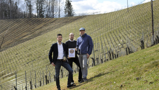 Top Ergebnisse für die Steirischen Winzer_innen beim Concours Mondial du Sauvignon - News Wein Steiermark