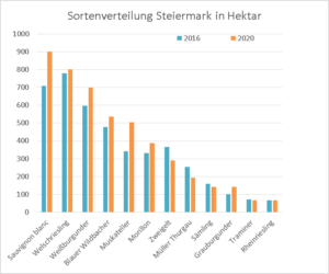 Grafik: Sortenverteilung der Steiermark Wein - Steiermark überschreitet die 5.000 Hektar Marke - Rebsorte Sauvignon Blanc an der Spitze News Wein Steiermark