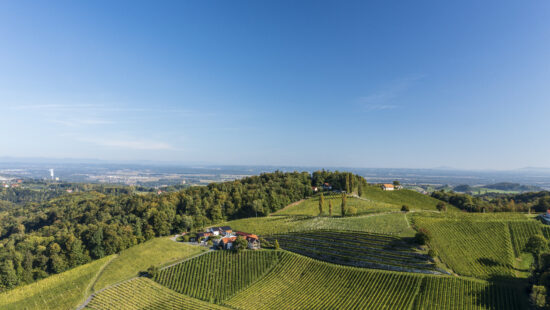 Nussberg - Wein Steiermark - Riede - Vinaria - Sauvignon Blanc - Pixelmaker