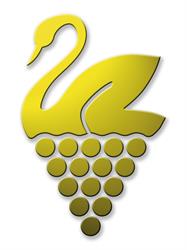 Logo 2023 Südsteiermark DAC Ried Sommerau Sauvignon Blanc