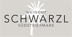 Logo 2025 Steiermark 