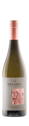 Logo 2022 Vulkanland Steiermark DAC Sauvignon Blanc