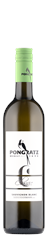 Logo 2023 Südsteiermark DAC Sauvignon Blanc