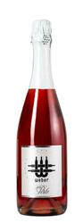Logo 2023 Qualitätsschaumwein Klassik Steiermark Schilcher Extra Brut