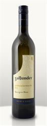 Logo 2023 Südsteiermark DAC Sauvignon Blanc