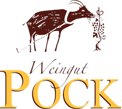 Logo 2017 Wein aus Österreich Steiermark 