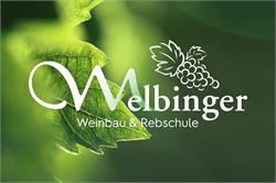 Logo 2024 Landwein aus Österreich (Steirerland) Welschriesling