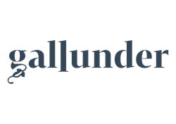 Logo 2024 Südsteiermark DAC Sauvignon Blanc