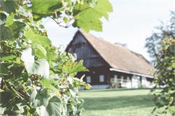 Weingut Petschnegg
